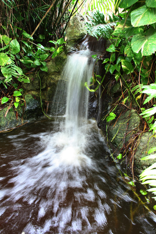 IMG_7457